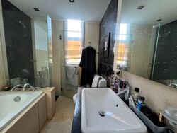 Residences @ Evelyn (D11), Condominium #534217361